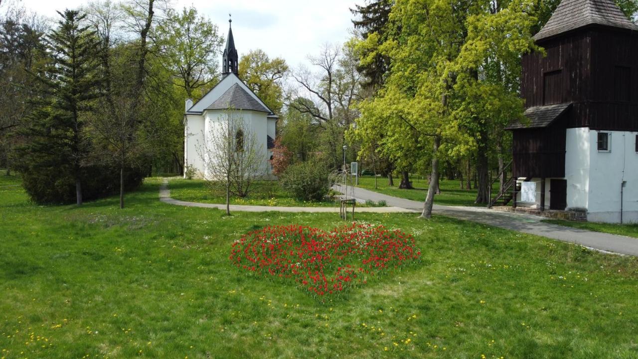 Homestay Poděbrady Exteriör bild