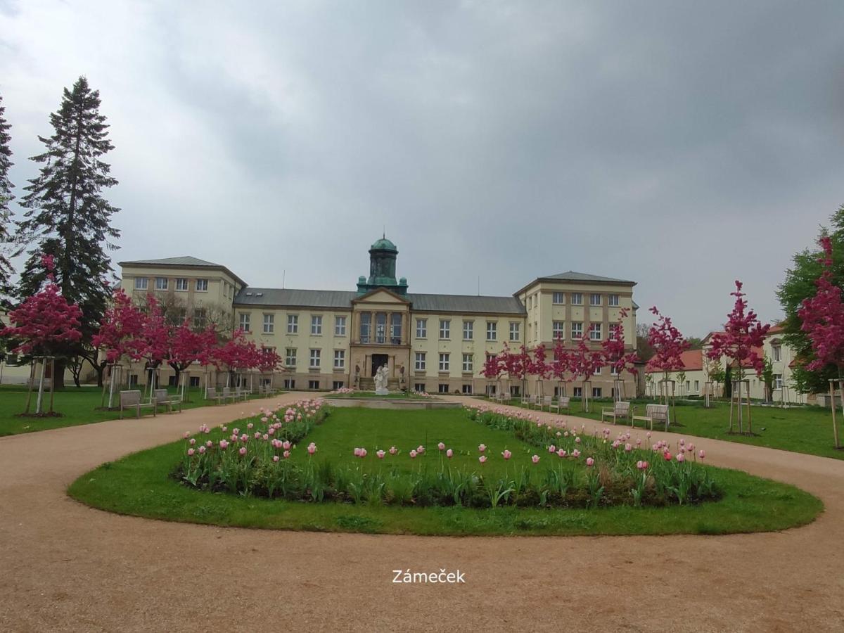 Homestay Poděbrady Exteriör bild