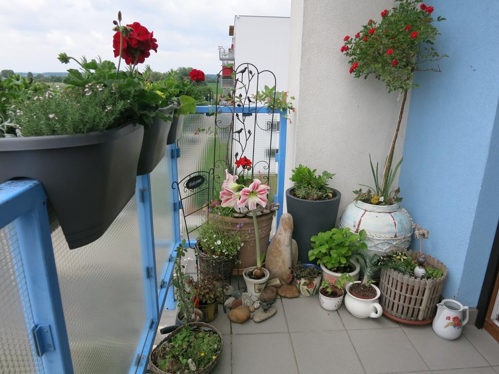 Homestay Poděbrady Exteriör bild